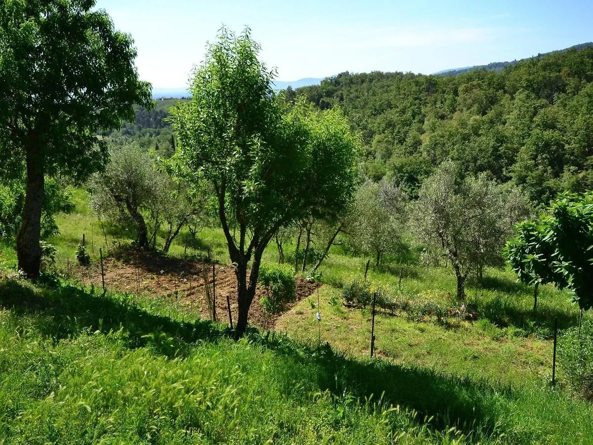 Belvilla By Oyo Trebbiano Poggio Alla Croce